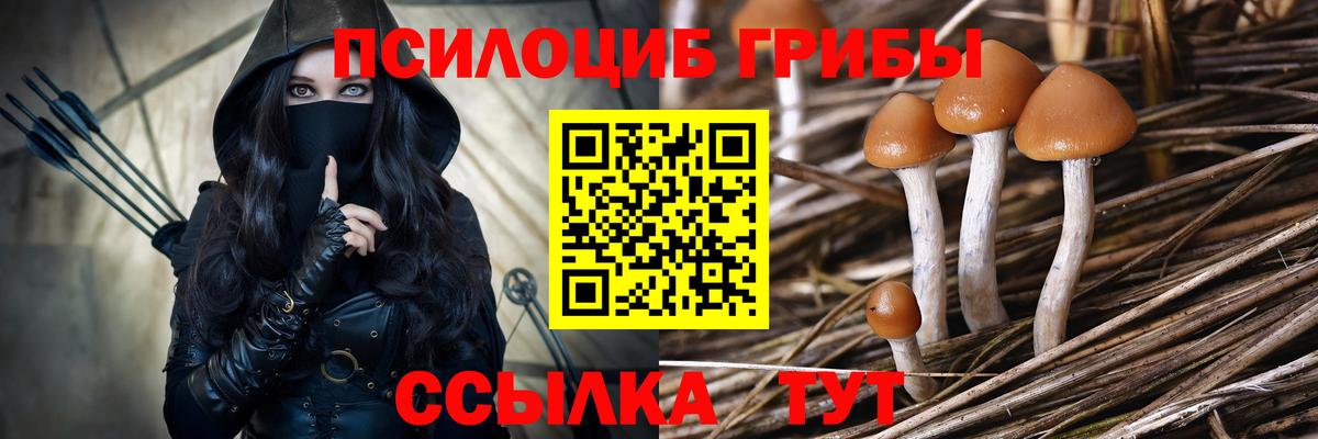 Галлюциногенные грибы Cubensis  Галлюциногенные грибы мицелий  Артёмовский  Вход с VPN 